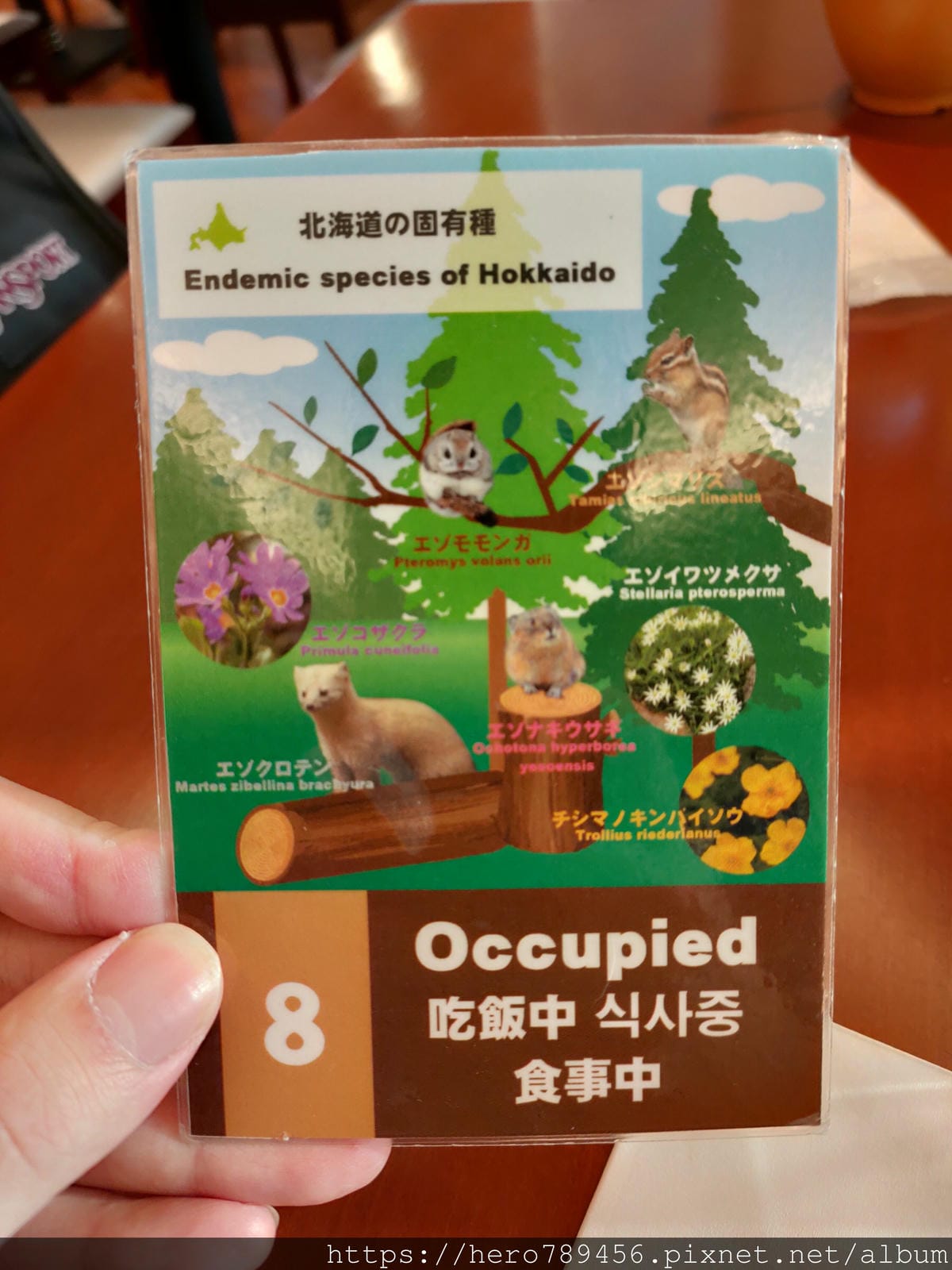 (北海道札幌住宿早餐)普樂美雅飯店-中島公園,早餐介紹:鮭魚 (北海道札幌住宿早餐)普樂美雅飯店-中島公園,早餐介紹:鮭魚