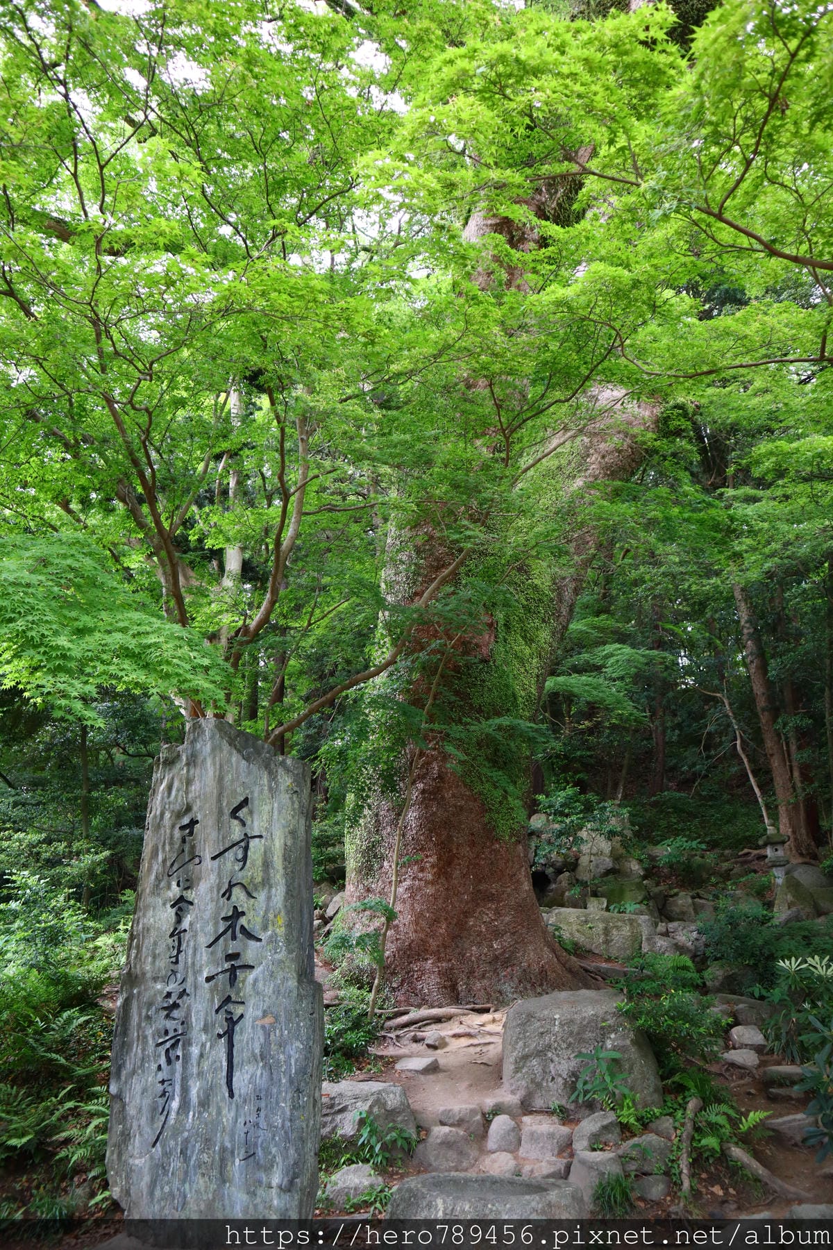 (日本太宰府旅遊)太宰府天滿宮,太宰府一日遊必訪景點,九州最 (日本太宰府旅遊)太宰府天滿宮,太宰府一日遊必訪景點,九州最
