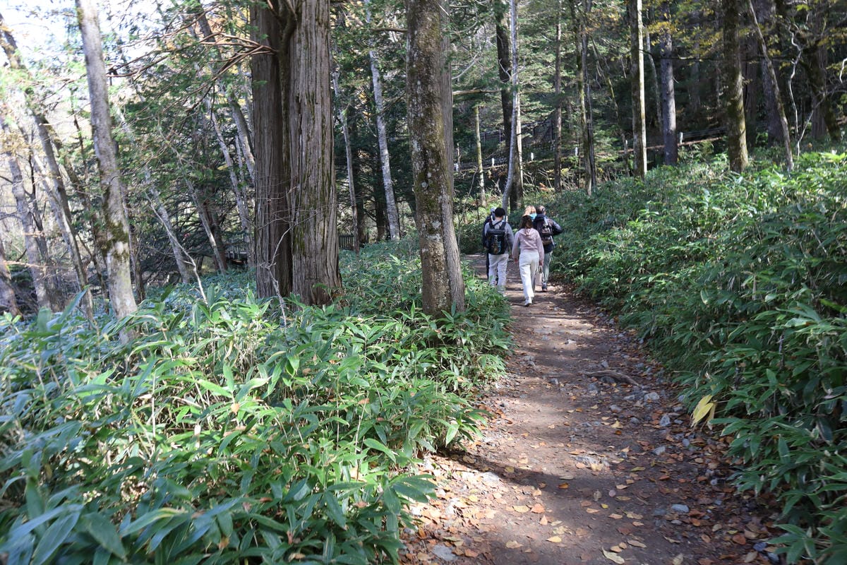 (日本長野景點)上高地kamikochi-日本阿爾卑斯山，沒
