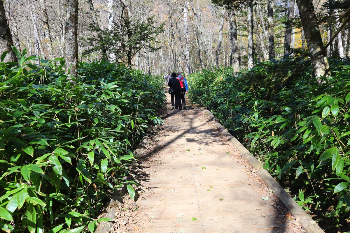 (日本長野景點)上高地kamikochi-日本阿爾卑斯山，沒
