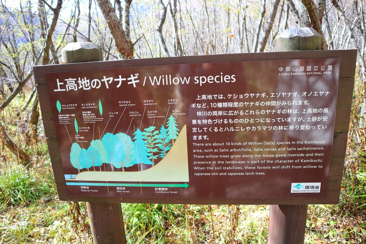 (日本長野景點)上高地kamikochi-日本阿爾卑斯山，沒