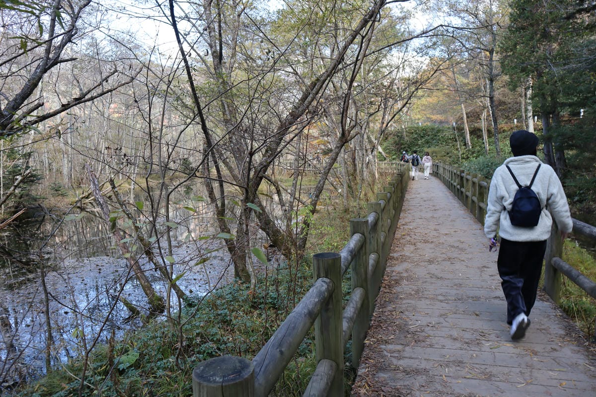 (日本長野景點)上高地kamikochi-日本阿爾卑斯山，沒