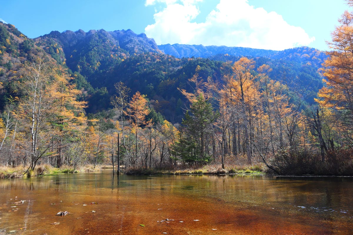 (日本長野景點)上高地kamikochi-日本阿爾卑斯山，沒