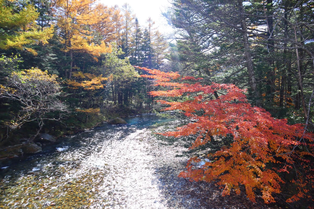 (日本長野景點)上高地kamikochi-日本阿爾卑斯山，沒