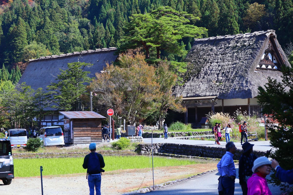 (日本岐阜白川鄉景點)白川鄉合掌村半日遊推薦，有著極佳視野的