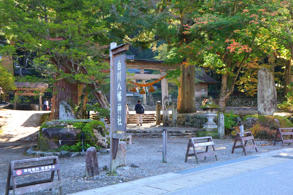 (日本岐阜白川鄉景點)白川鄉合掌村半日遊推薦，有著極佳視野的