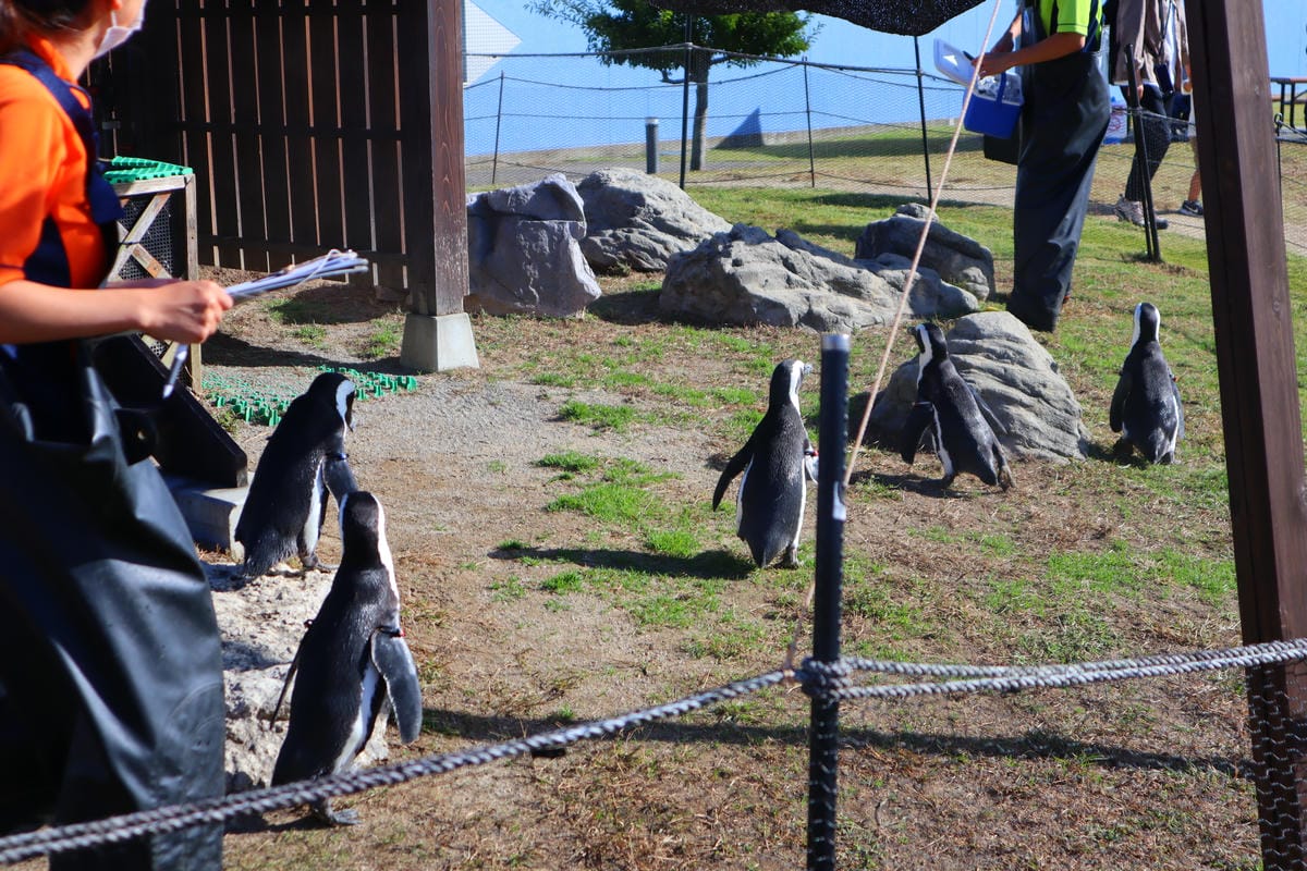 (日本愛知名古屋景點)名古屋港水族館,日本最大面積的水族館, (日本愛知名古屋景點)名古屋港水族館,日本最大面積的水族館,