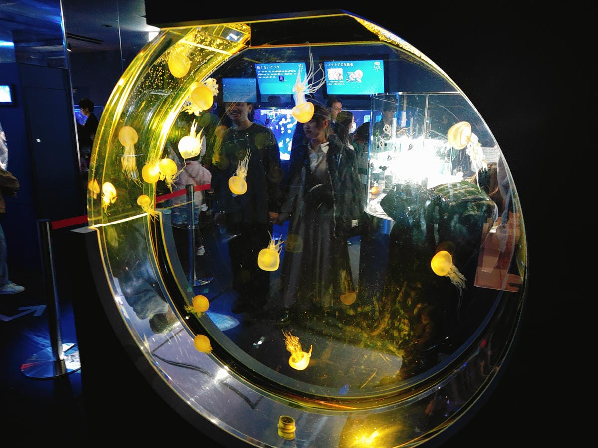 (日本愛知名古屋景點)名古屋港水族館,日本最大面積的水族館, (日本愛知名古屋景點)名古屋港水族館,日本最大面積的水族館,