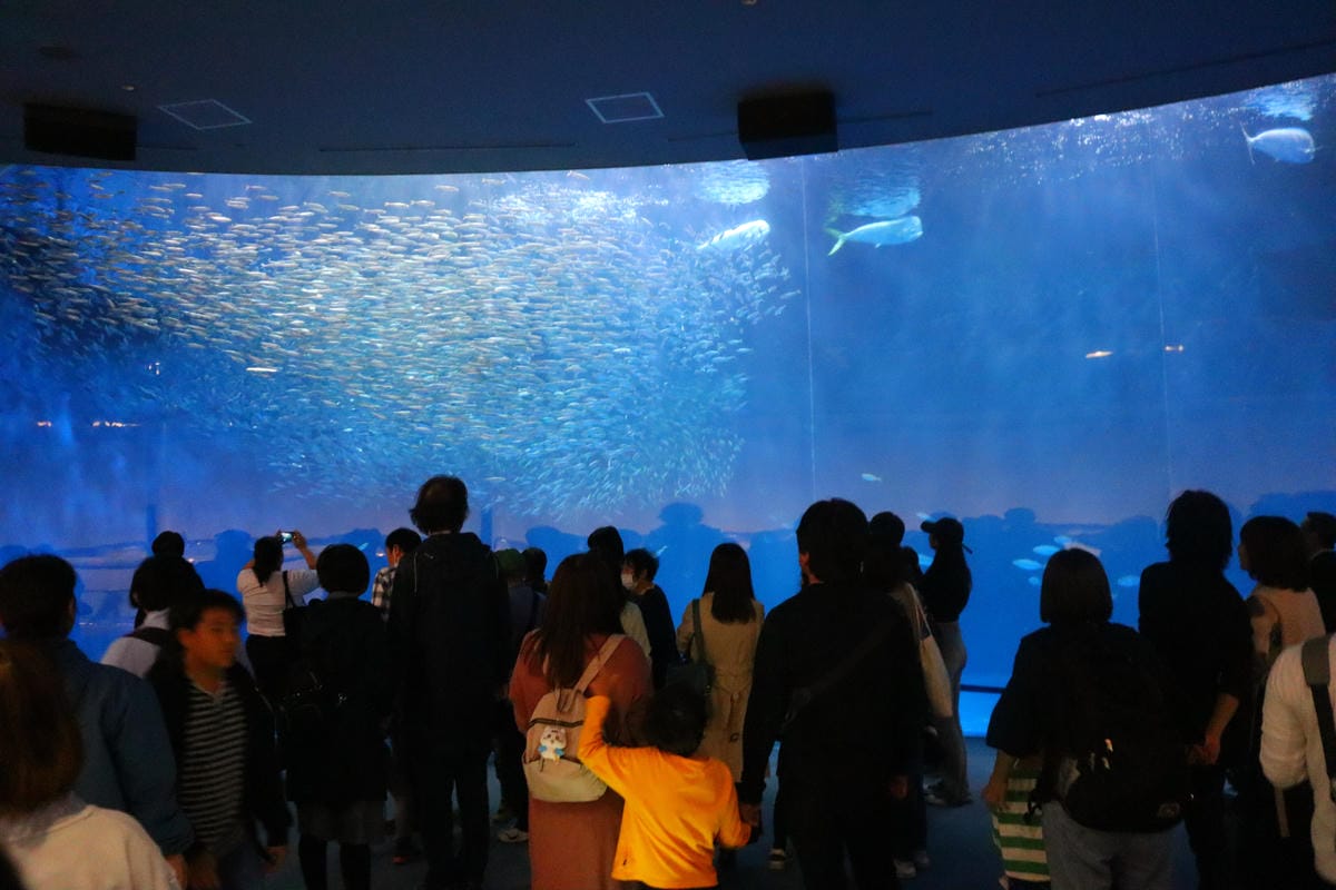 (日本愛知名古屋景點)名古屋港水族館,日本最大面積的水族館, (日本愛知名古屋景點)名古屋港水族館,日本最大面積的水族館,
