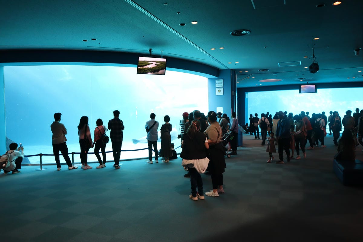(日本愛知名古屋景點)名古屋港水族館,日本最大面積的水族館, (日本愛知名古屋景點)名古屋港水族館,日本最大面積的水族館,