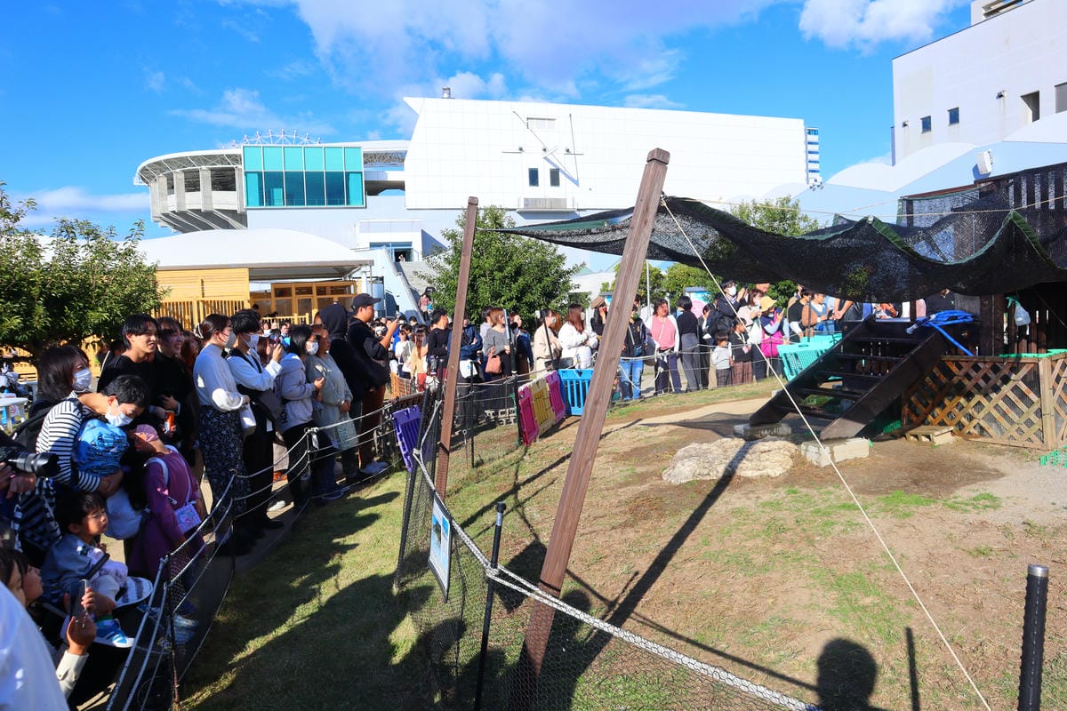 (日本愛知名古屋景點)名古屋港水族館,日本最大面積的水族館, (日本愛知名古屋景點)名古屋港水族館,日本最大面積的水族館,