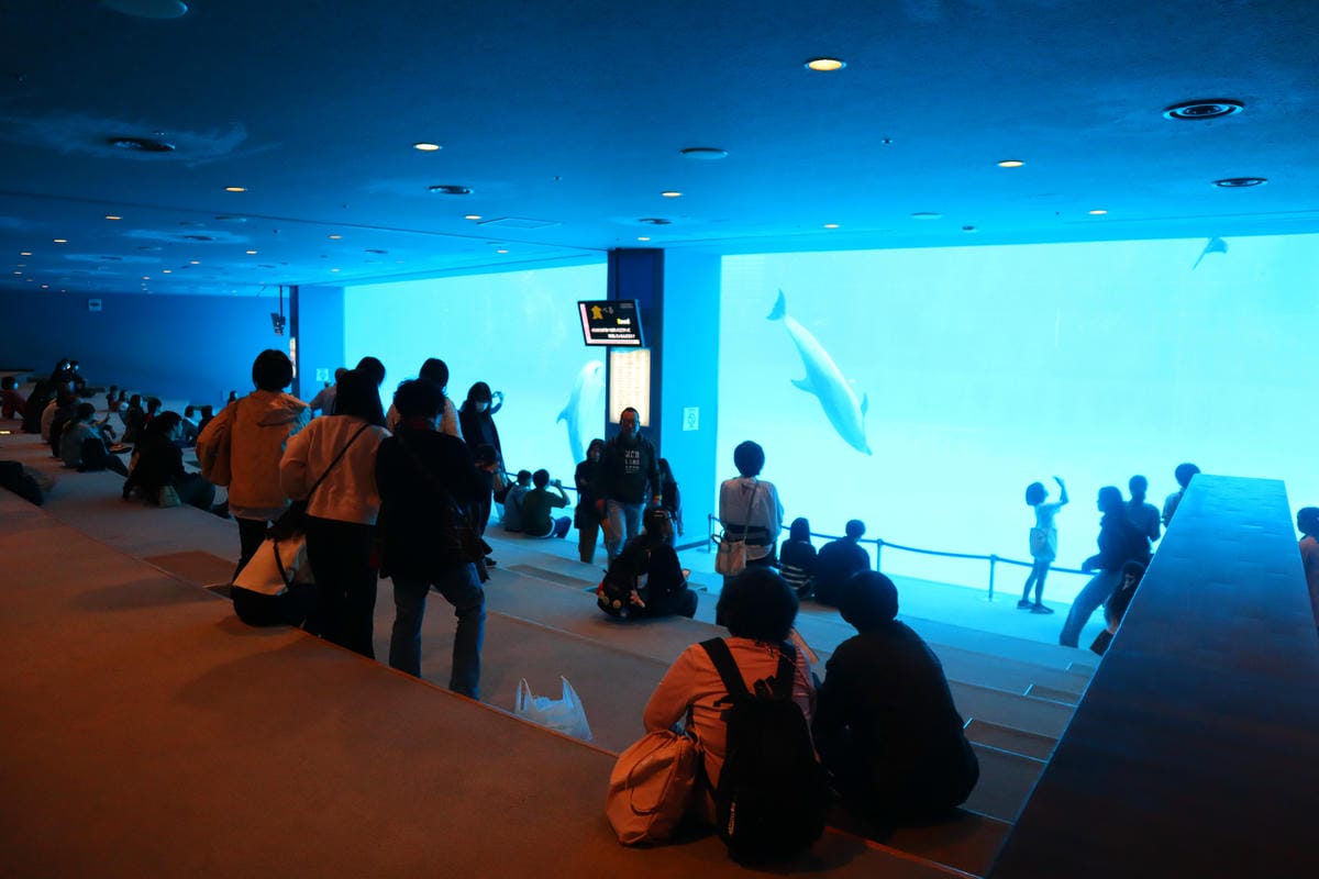 (日本愛知名古屋景點)名古屋港水族館,日本最大面積的水族館, (日本愛知名古屋景點)名古屋港水族館,日本最大面積的水族館,