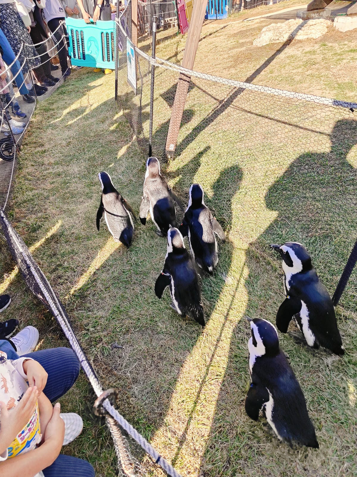 (日本愛知名古屋景點)名古屋港水族館,日本最大面積的水族館, (日本愛知名古屋景點)名古屋港水族館,日本最大面積的水族館,