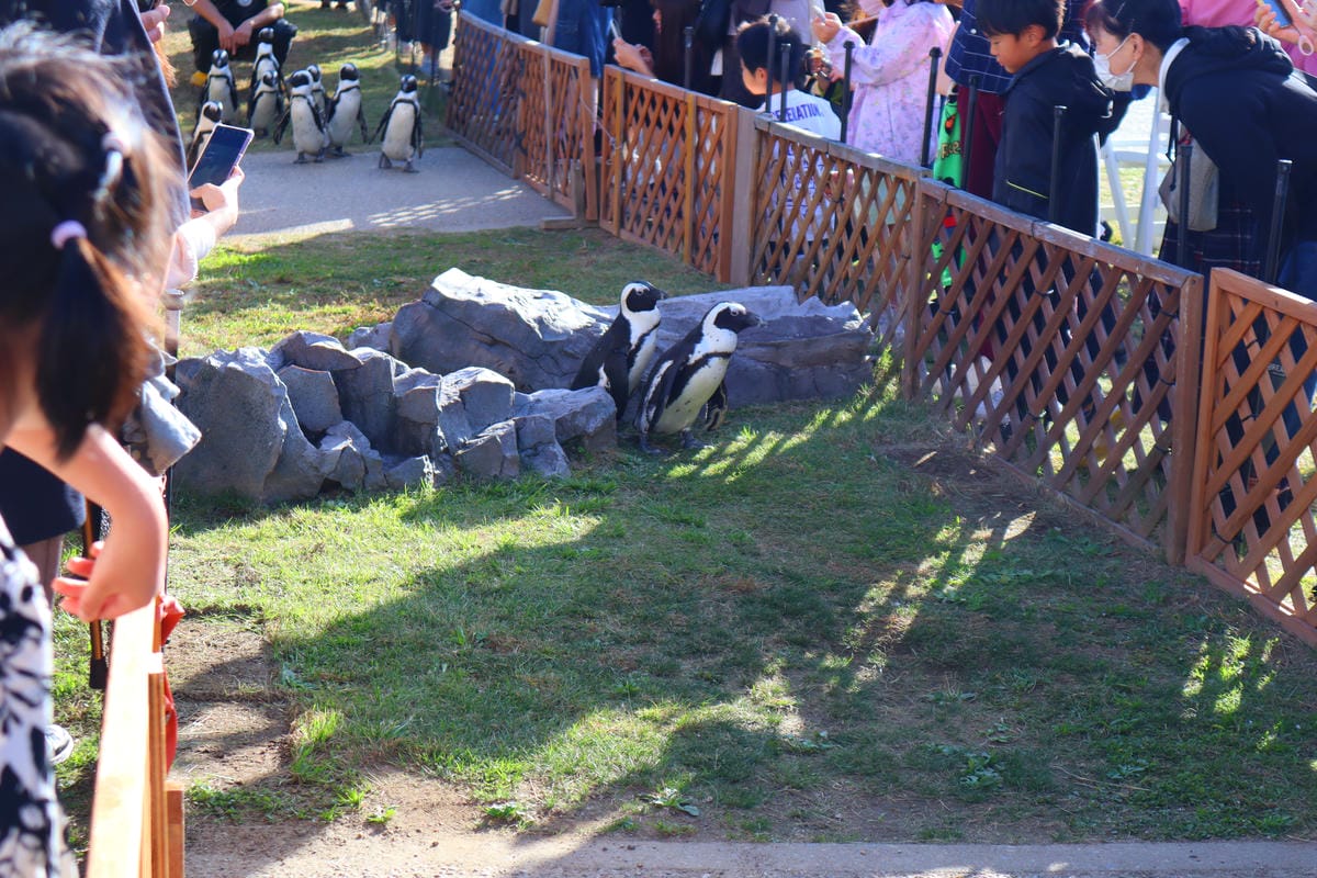 (日本愛知名古屋景點)名古屋港水族館,日本最大面積的水族館, (日本愛知名古屋景點)名古屋港水族館,日本最大面積的水族館,