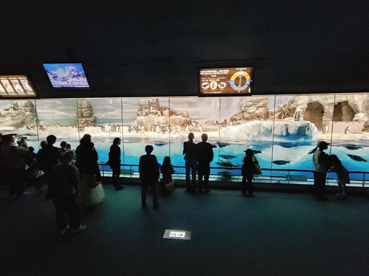 (日本愛知名古屋景點)名古屋港水族館,日本最大面積的水族館, (日本愛知名古屋景點)名古屋港水族館,日本最大面積的水族館,