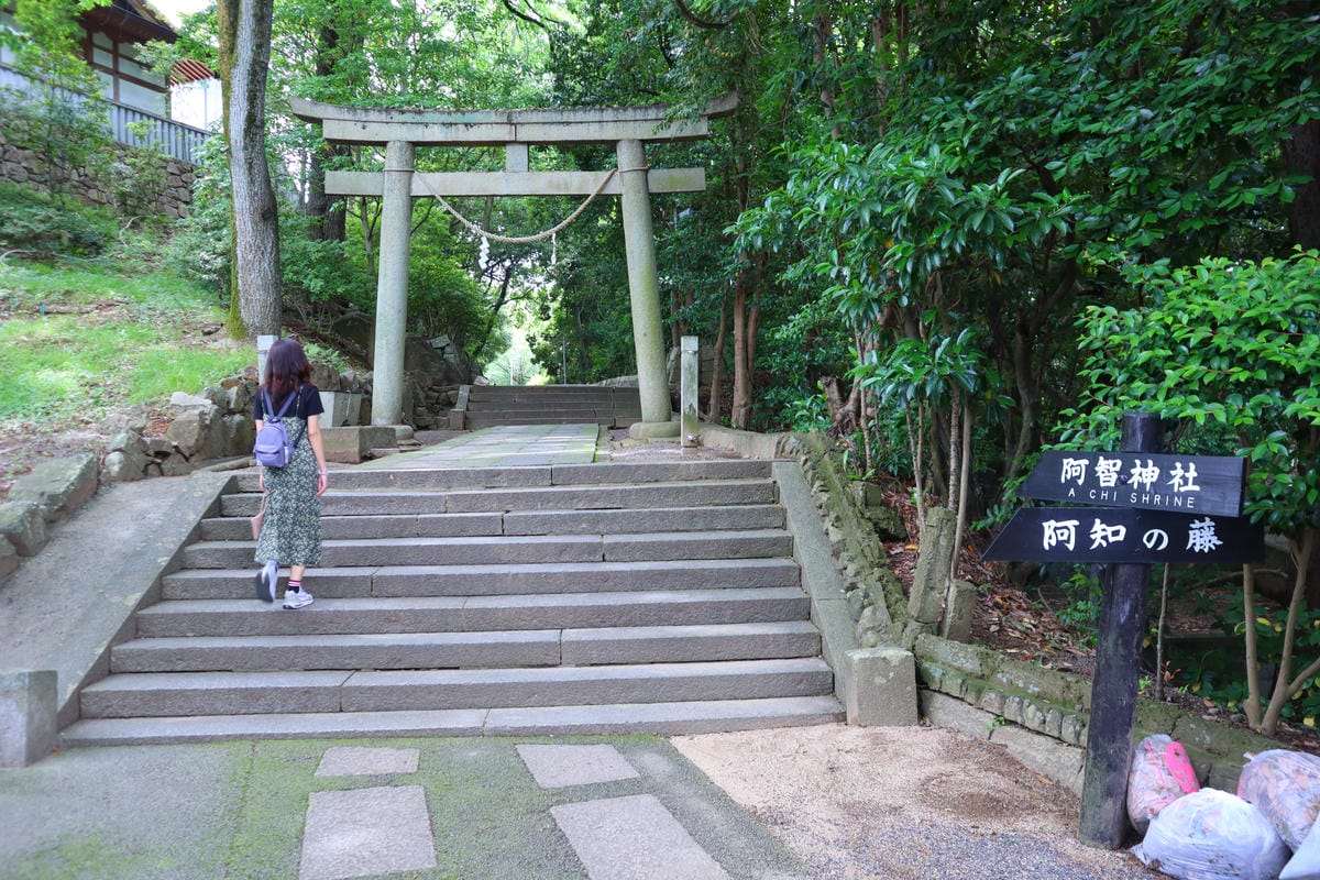 (倉敷旅遊)阿智神社，倉敷市區的山頂神社，擁有巨石和美麗紫藤