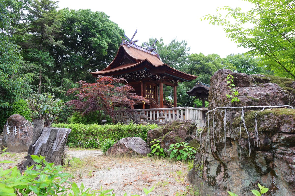 (倉敷旅遊)阿智神社，倉敷市區的山頂神社，擁有巨石和美麗紫藤