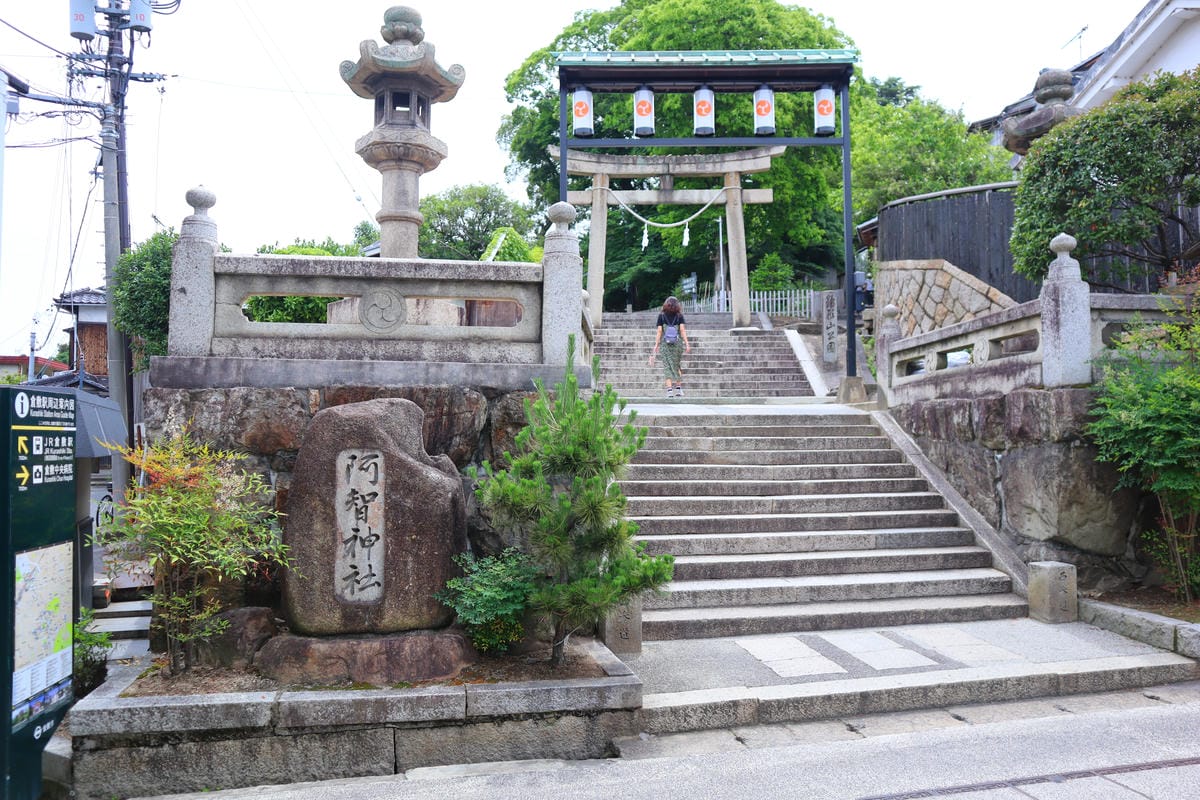 (倉敷旅遊)阿智神社，倉敷市區的山頂神社，擁有巨石和美麗紫藤