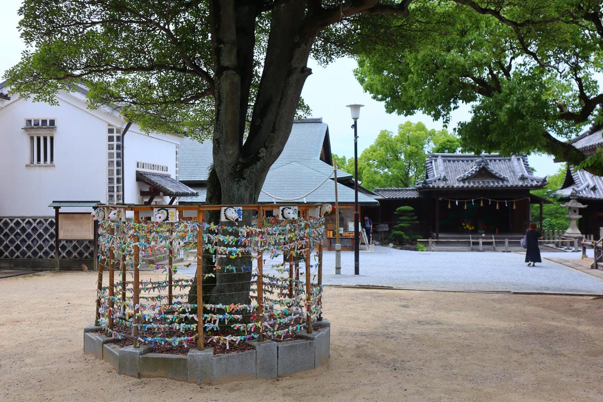 (倉敷旅遊)阿智神社，倉敷市區的山頂神社，擁有巨石和美麗紫藤