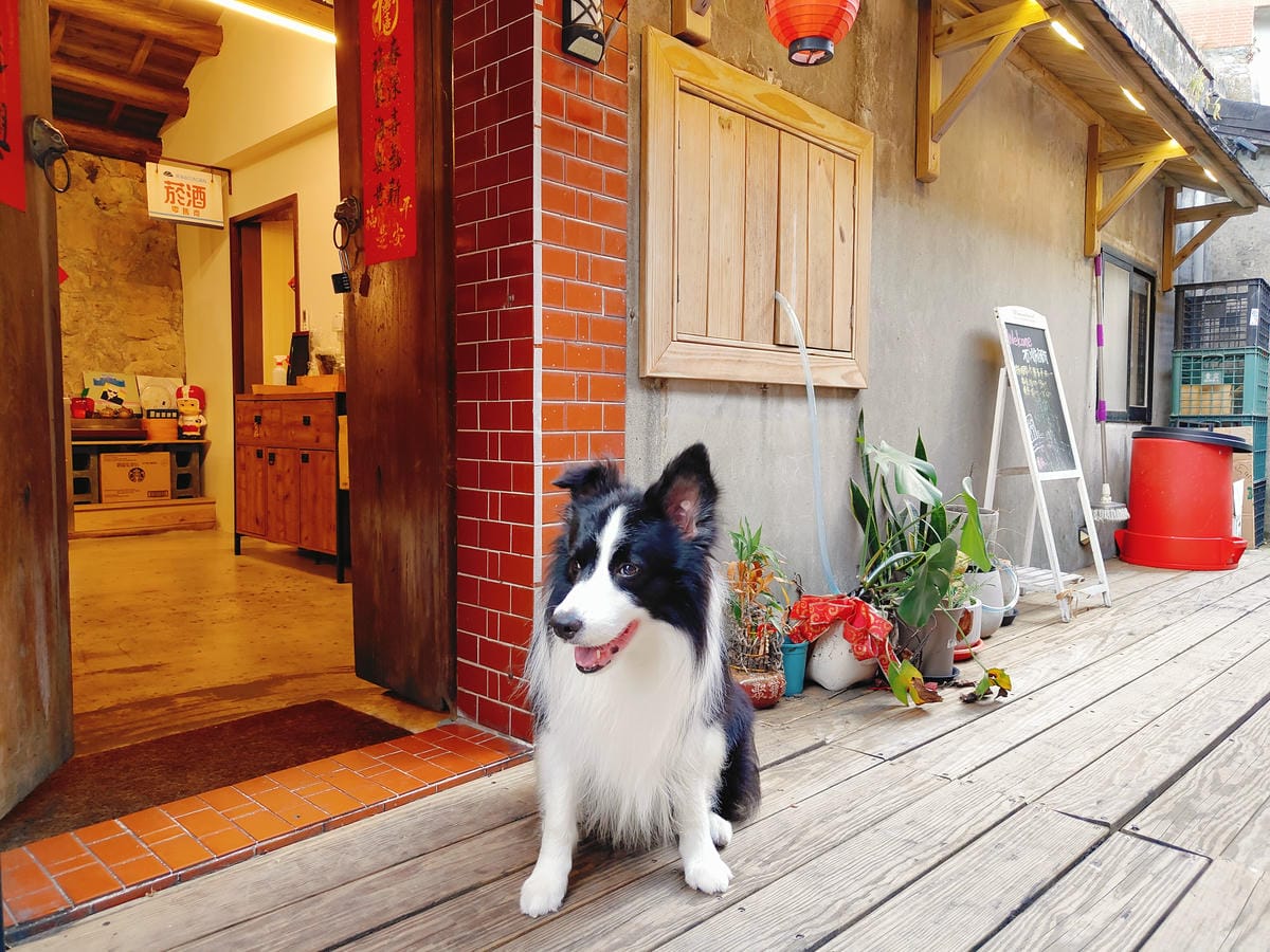 (新北瑞芳餐廳)石川制研,九份老街特色料理,花多一點時間也沒 (新北瑞芳餐廳)石川制研,九份老街特色料理,花多一點時間也沒