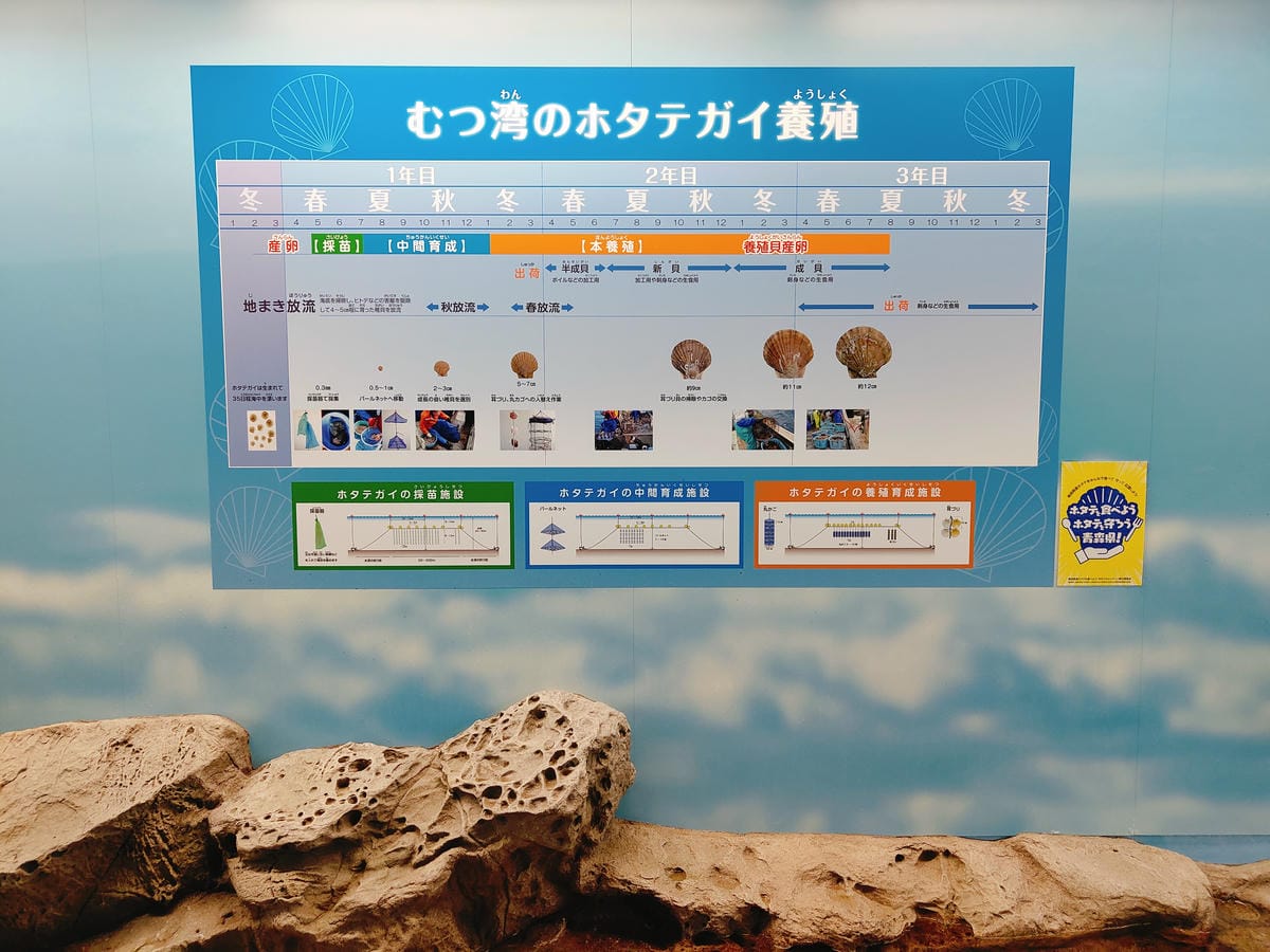 (青森旅遊)青森県営浅虫水族館-Asamushi Aquar (青森旅遊)青森県営浅虫水族館-Asamushi Aquar