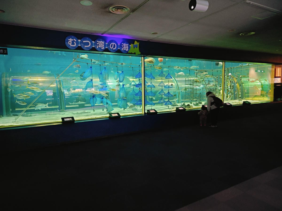 (青森旅遊)青森県営浅虫水族館-Asamushi Aquar (青森旅遊)青森県営浅虫水族館-Asamushi Aquar