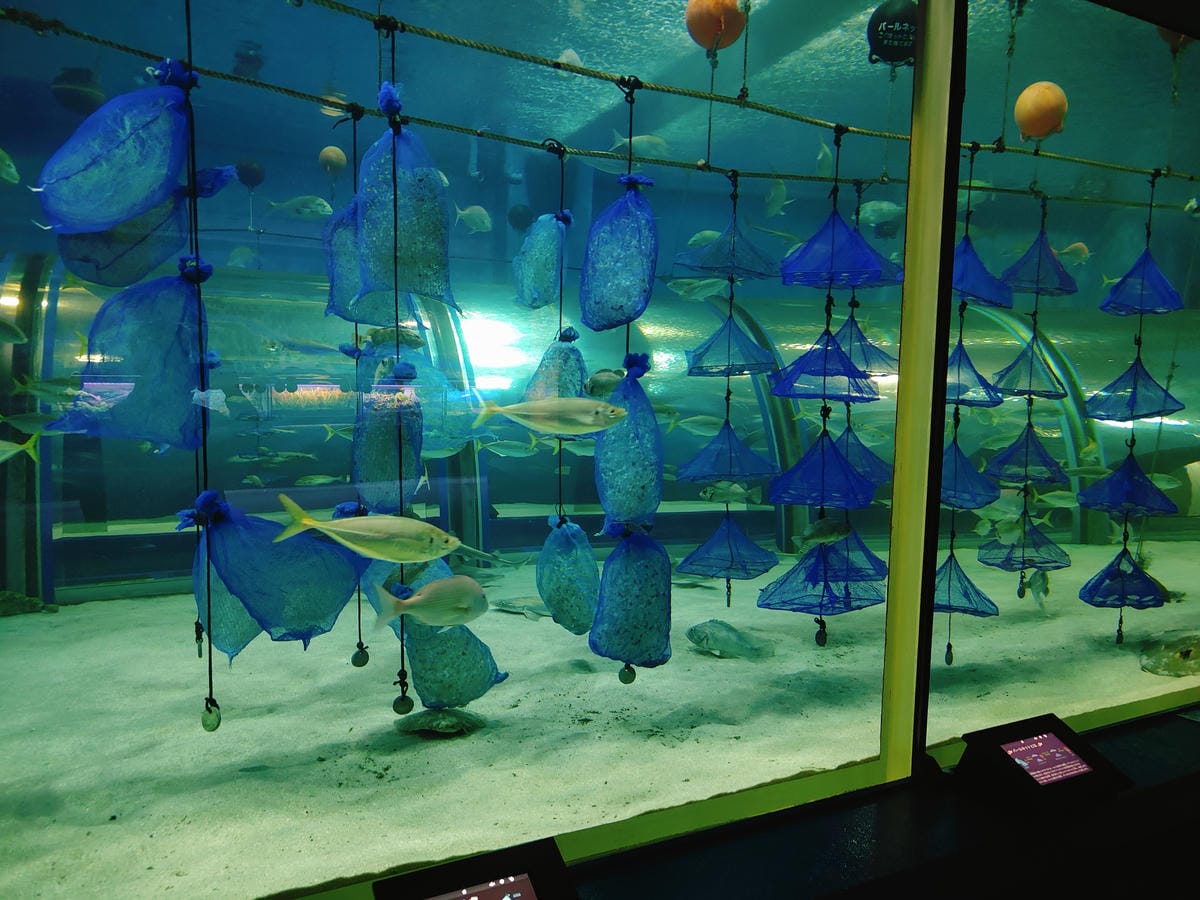 (青森旅遊)青森県営浅虫水族館-Asamushi Aquar (青森旅遊)青森県営浅虫水族館-Asamushi Aquar