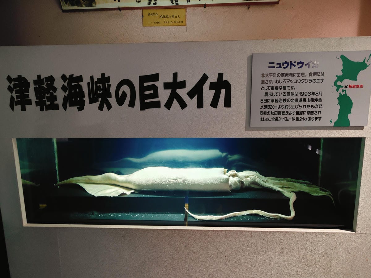 (青森旅遊)青森県営浅虫水族館-Asamushi Aquar (青森旅遊)青森県営浅虫水族館-Asamushi Aquar