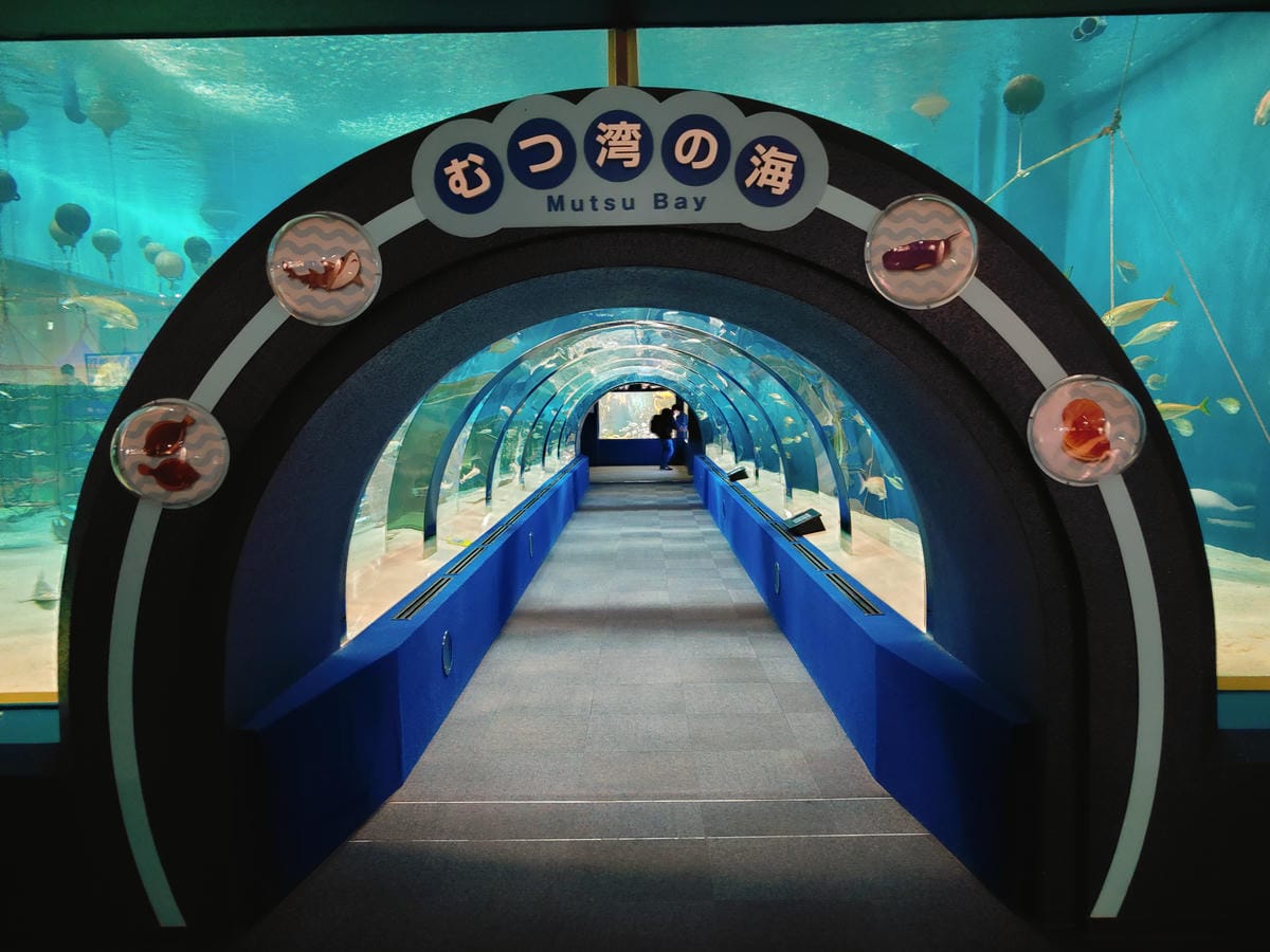 (青森旅遊)青森県営浅虫水族館-Asamushi Aquar (青森旅遊)青森県営浅虫水族館-Asamushi Aquar
