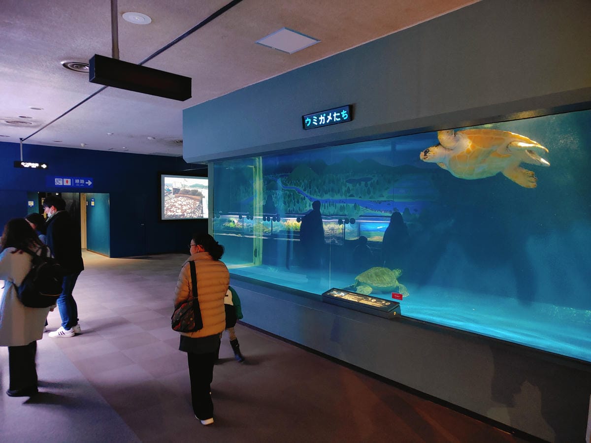 (青森旅遊)青森県営浅虫水族館-Asamushi Aquar (青森旅遊)青森県営浅虫水族館-Asamushi Aquar