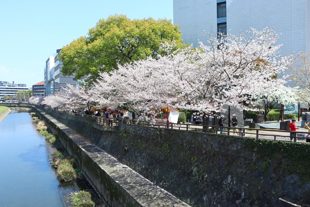(日本熊本景點)櫻之馬場 城彩苑-桜の馬場 城彩苑 (日本熊本景點)櫻之馬場 城彩苑-桜の馬場 城彩苑