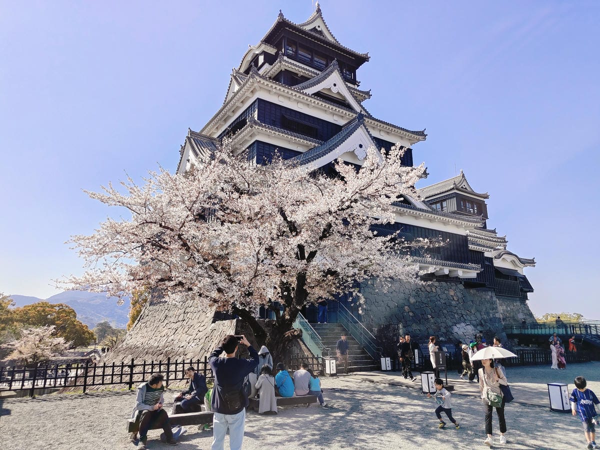 (日本熊本旅遊)熊本城 (日本熊本旅遊)熊本城