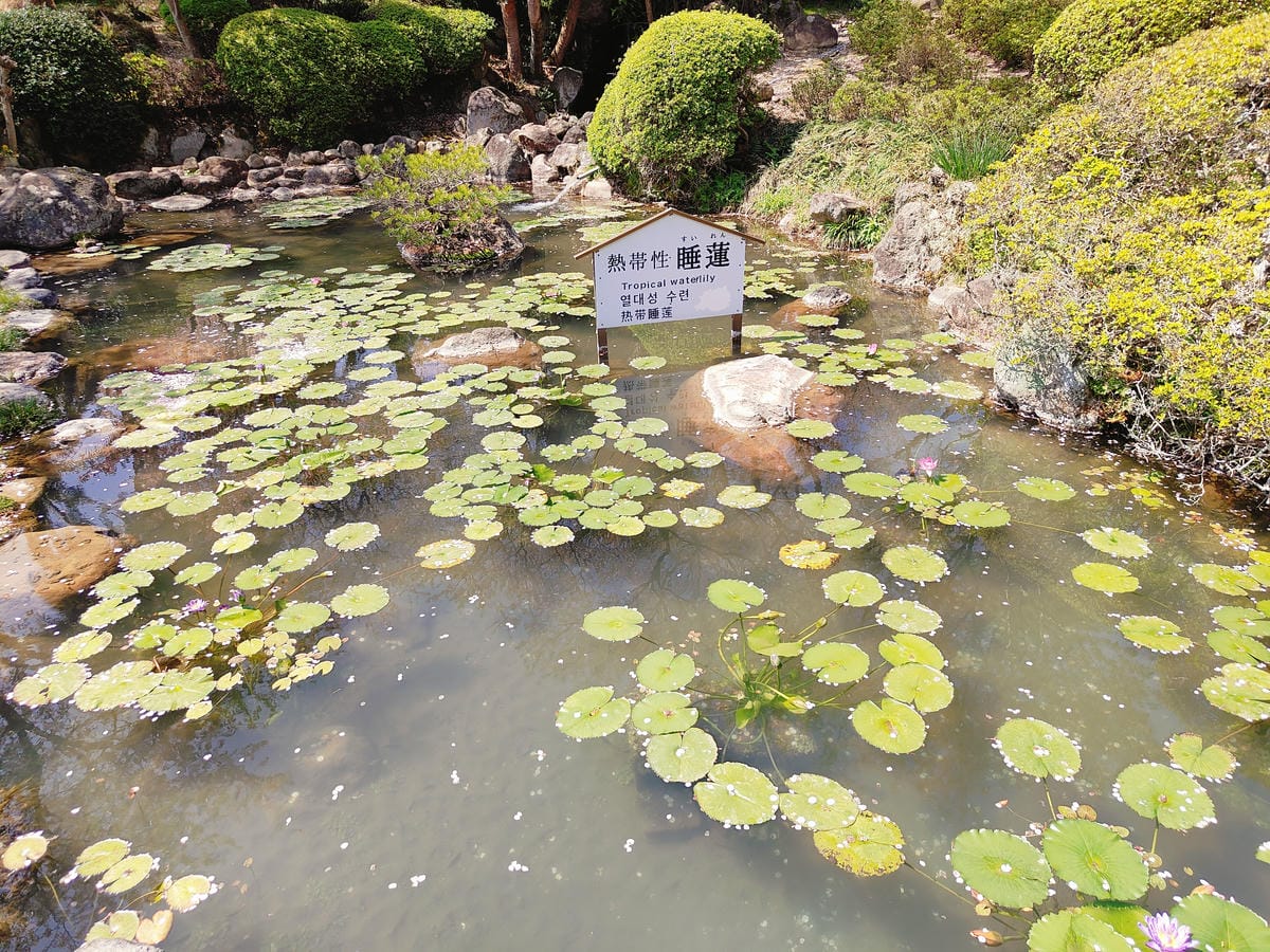 (大分旅遊)別府地獄巡禮,海地獄+鬼山地獄+灶地獄+鬼石坊主 (大分旅遊)別府地獄巡禮,海地獄+鬼山地獄+灶地獄+鬼石坊主