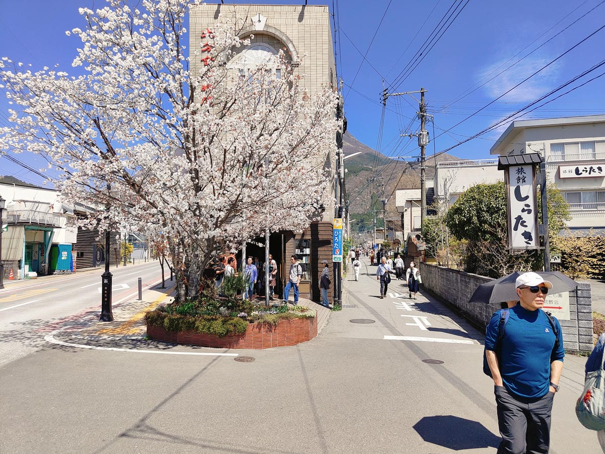 (大分旅遊)湯之坪街道,短短一公里有著超多美食以及人氣店家, (大分旅遊)湯之坪街道,短短一公里有著超多美食以及人氣店家,