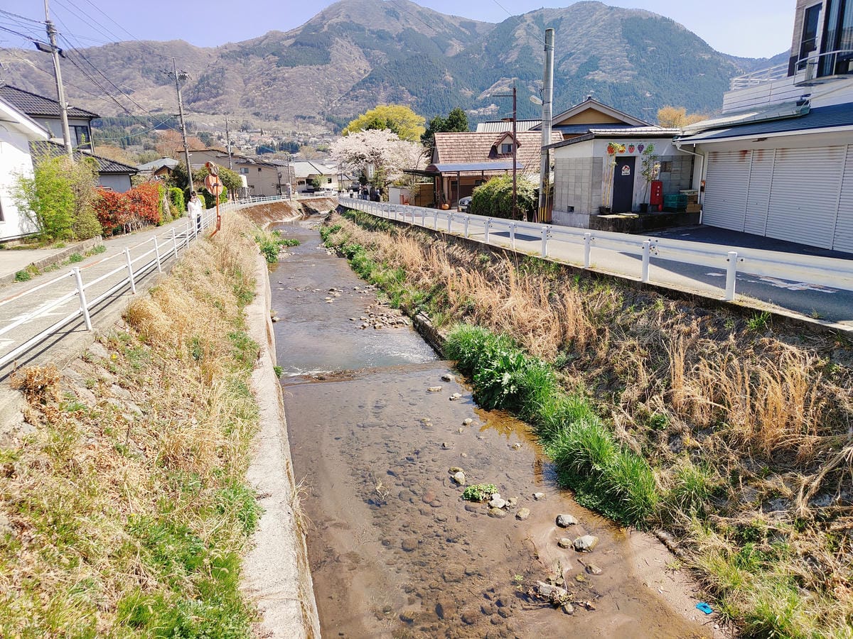 (大分旅遊)湯之坪街道,短短一公里有著超多美食以及人氣店家, (大分旅遊)湯之坪街道,短短一公里有著超多美食以及人氣店家,