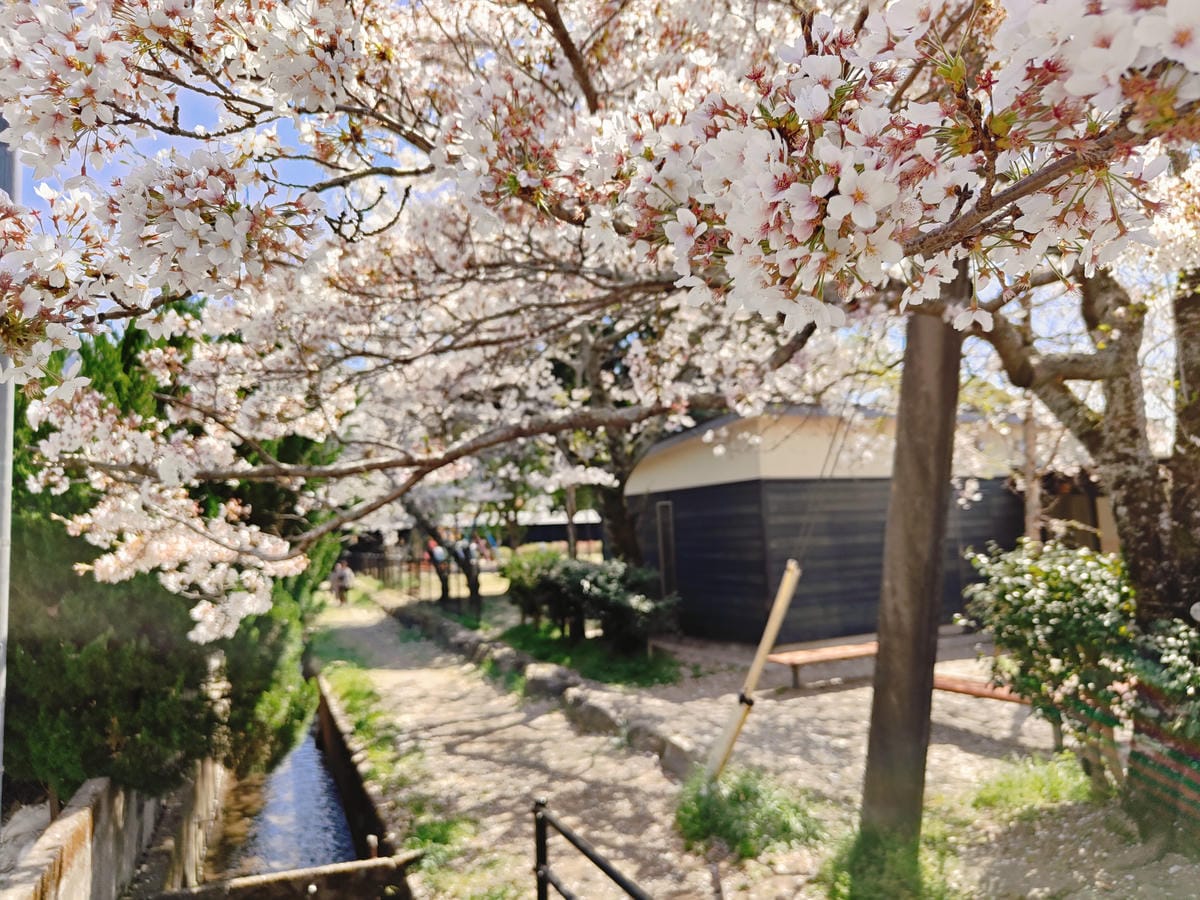 (大分旅遊)湯之坪街道,短短一公里有著超多美食以及人氣店家, (大分旅遊)湯之坪街道,短短一公里有著超多美食以及人氣店家,