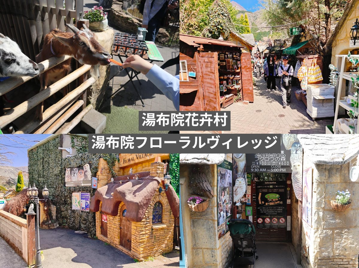 (大分旅遊)湯之坪街道,短短一公里有著超多美食以及人氣店家, (大分旅遊)湯之坪街道,短短一公里有著超多美食以及人氣店家,