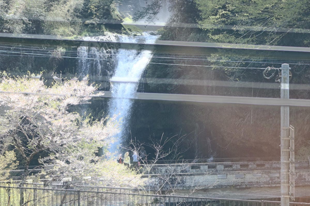 (福岡旅遊)由布院之森，九州必搭觀光列車。乘車體驗、車上會經
