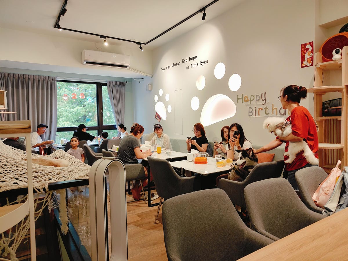 (新北新莊餐廳)Paws Cafe 寵物友善餐廳,捷運幸福站 (新北新莊餐廳)Paws Cafe 寵物友善餐廳,捷運幸福站