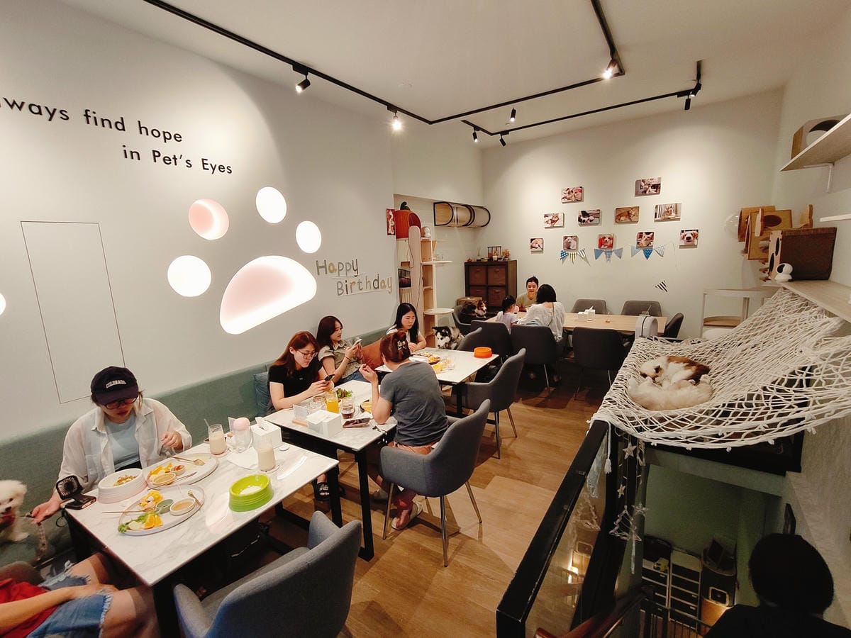 (新北新莊餐廳)Paws Cafe 寵物友善餐廳,捷運幸福站 (新北新莊餐廳)Paws Cafe 寵物友善餐廳,捷運幸福站