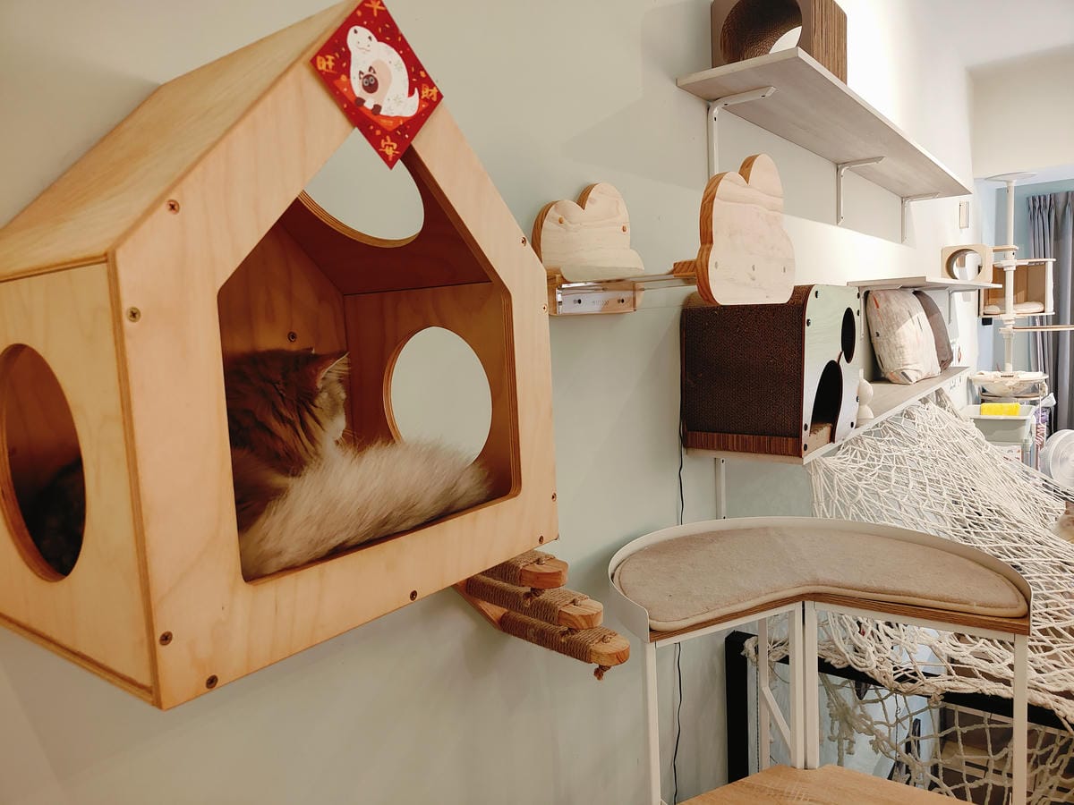 (新北新莊餐廳)Paws Cafe 寵物友善餐廳,捷運幸福站 (新北新莊餐廳)Paws Cafe 寵物友善餐廳,捷運幸福站