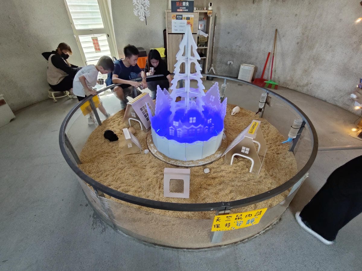 回巢農場 回巢農場