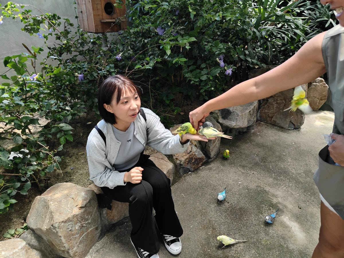 回巢農場 回巢農場