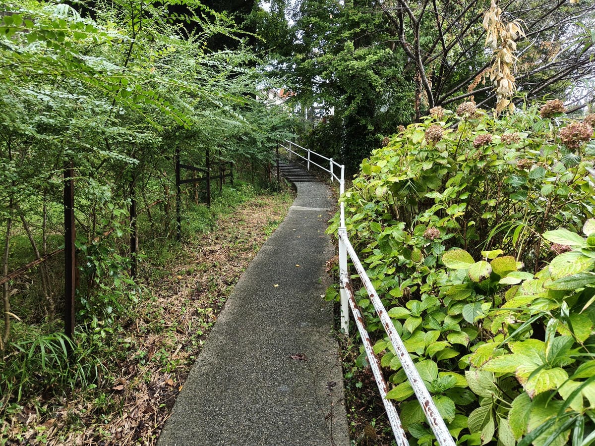 (別府旅遊)湯霧展望台-湯けむり展望台