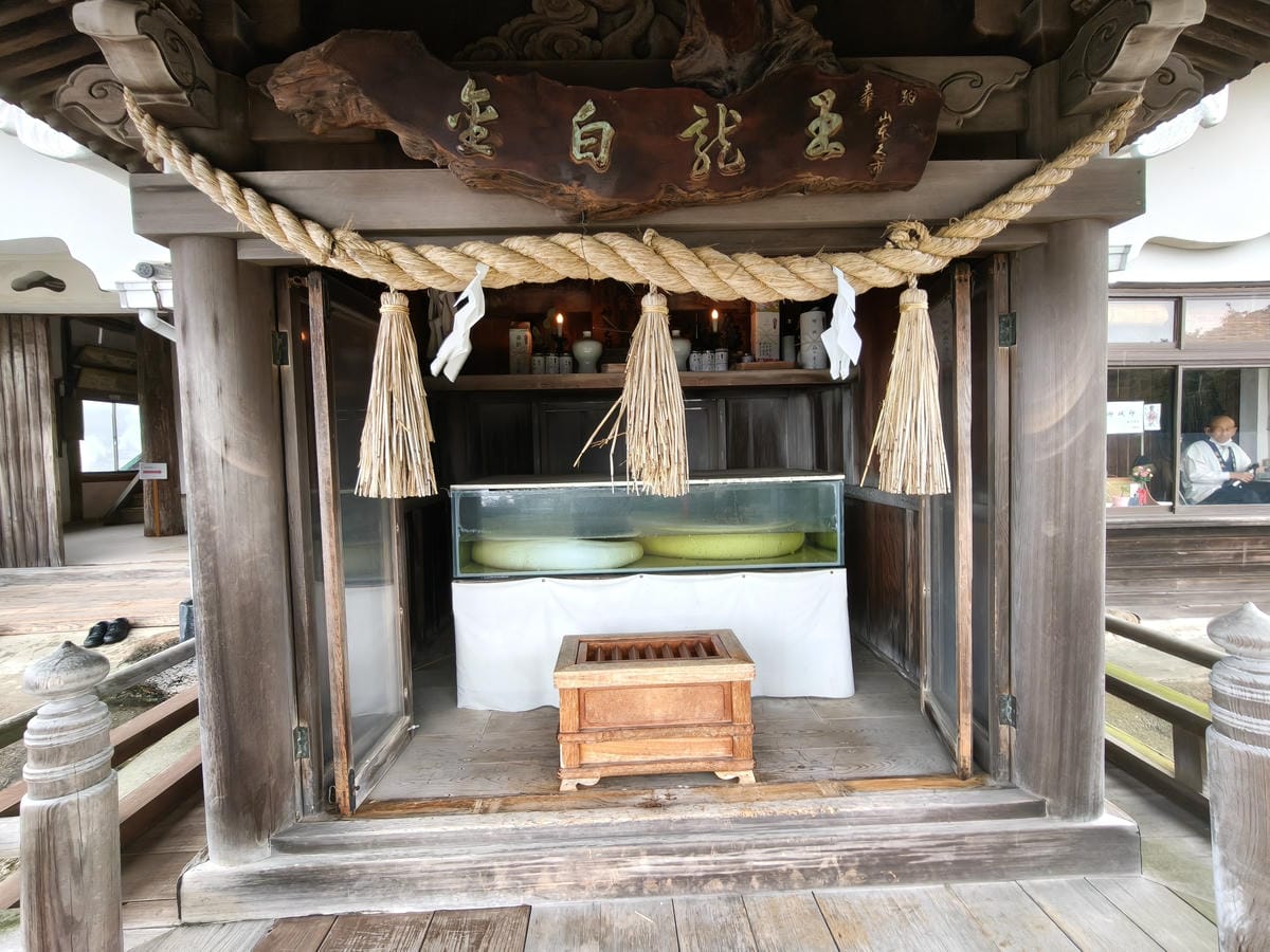 (大分旅遊)貴船城,是以白蛇傳說聞名的觀景城堡,城內可眺望別 (大分旅遊)貴船城,是以白蛇傳說聞名的觀景城堡,城內可眺望別