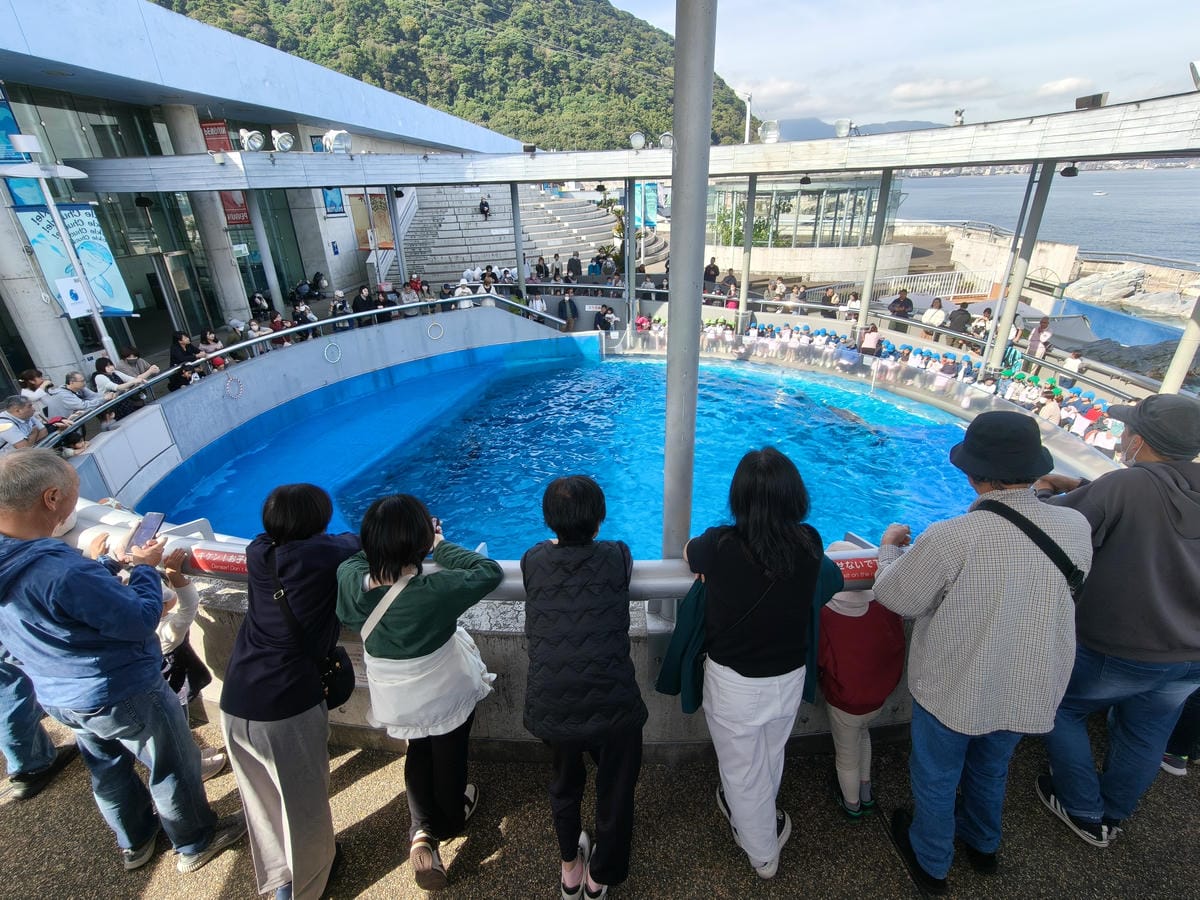 (大分旅遊)大分海洋宮殿水族館 海之卵,和動物們成為好朋友為 (大分旅遊)大分海洋宮殿水族館 海之卵,和動物們成為好朋友為