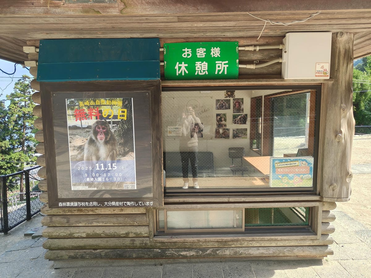 (大分旅遊)高崎山自然動物園,八百多隻的猴子就在你身旁, (大分旅遊)高崎山自然動物園,八百多隻的猴子就在你身旁,