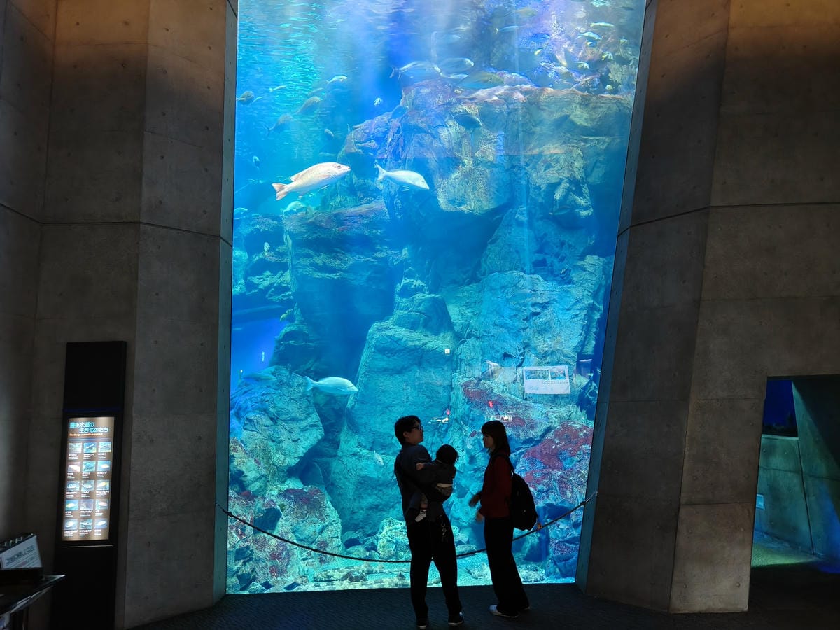 (大分旅遊)大分海洋宮殿水族館 海之卵,和動物們成為好朋友為 (大分旅遊)大分海洋宮殿水族館 海之卵,和動物們成為好朋友為