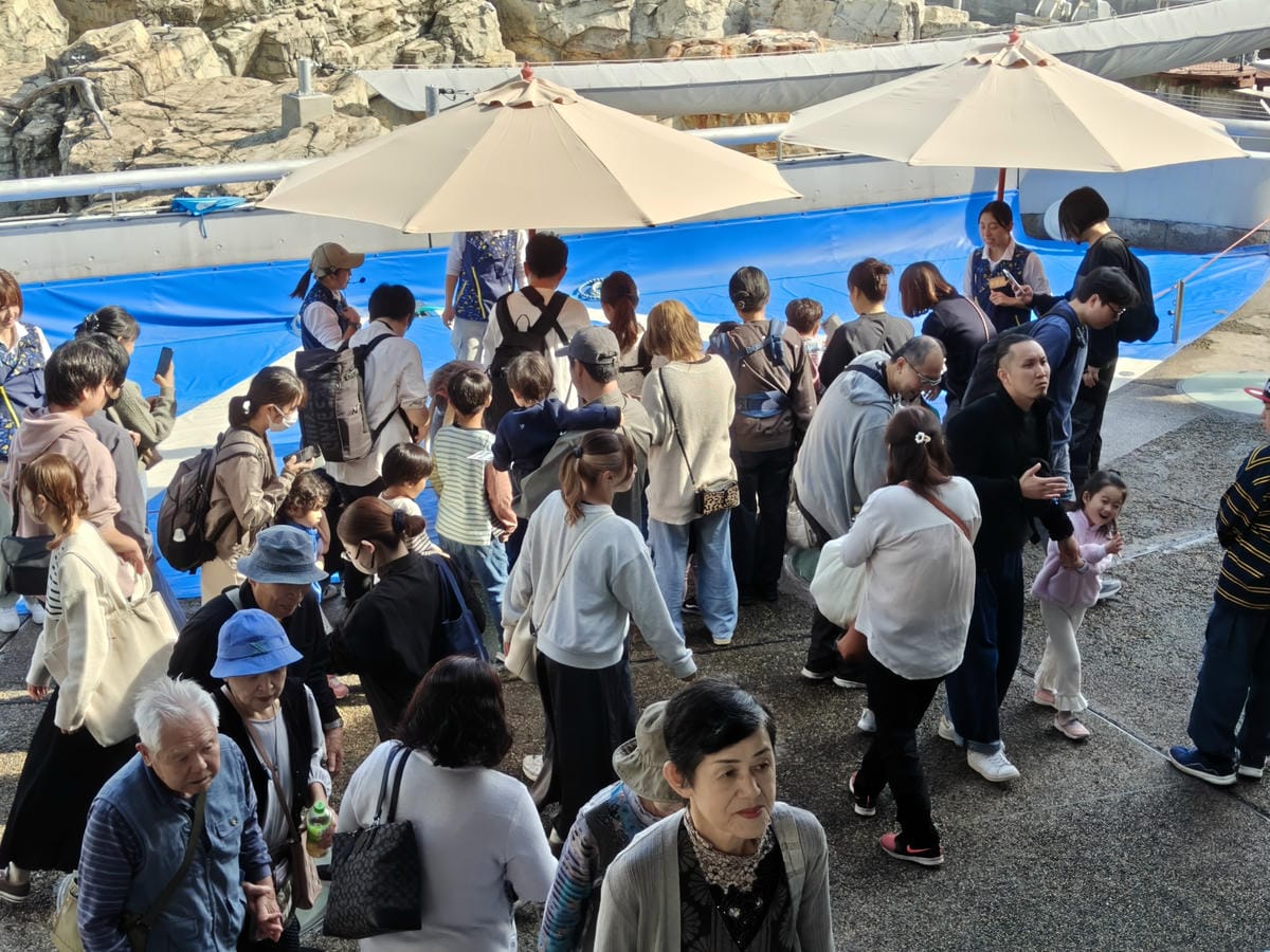 (大分旅遊)大分海洋宮殿水族館 海之卵,和動物們成為好朋友為 (大分旅遊)大分海洋宮殿水族館 海之卵,和動物們成為好朋友為