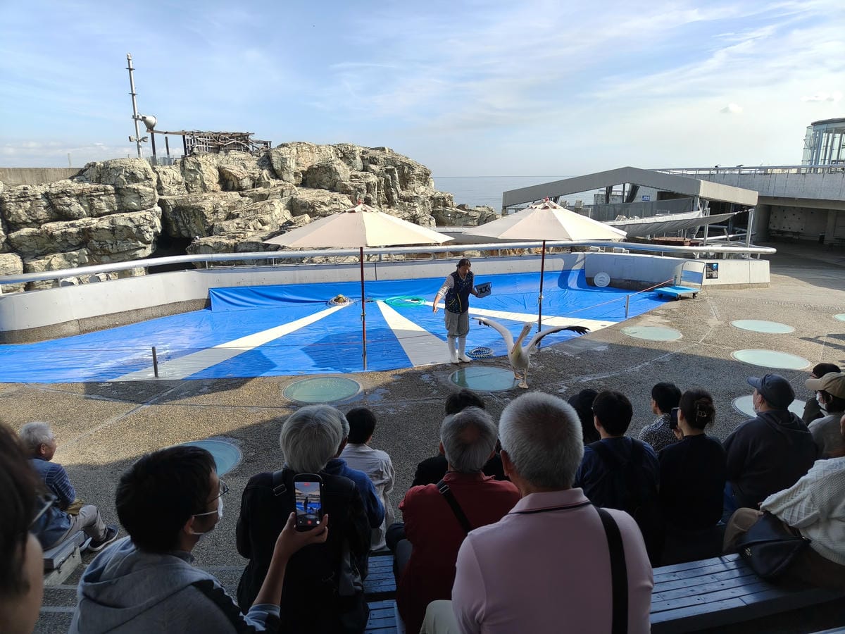 (大分旅遊)大分海洋宮殿水族館 海之卵,和動物們成為好朋友為 (大分旅遊)大分海洋宮殿水族館 海之卵,和動物們成為好朋友為